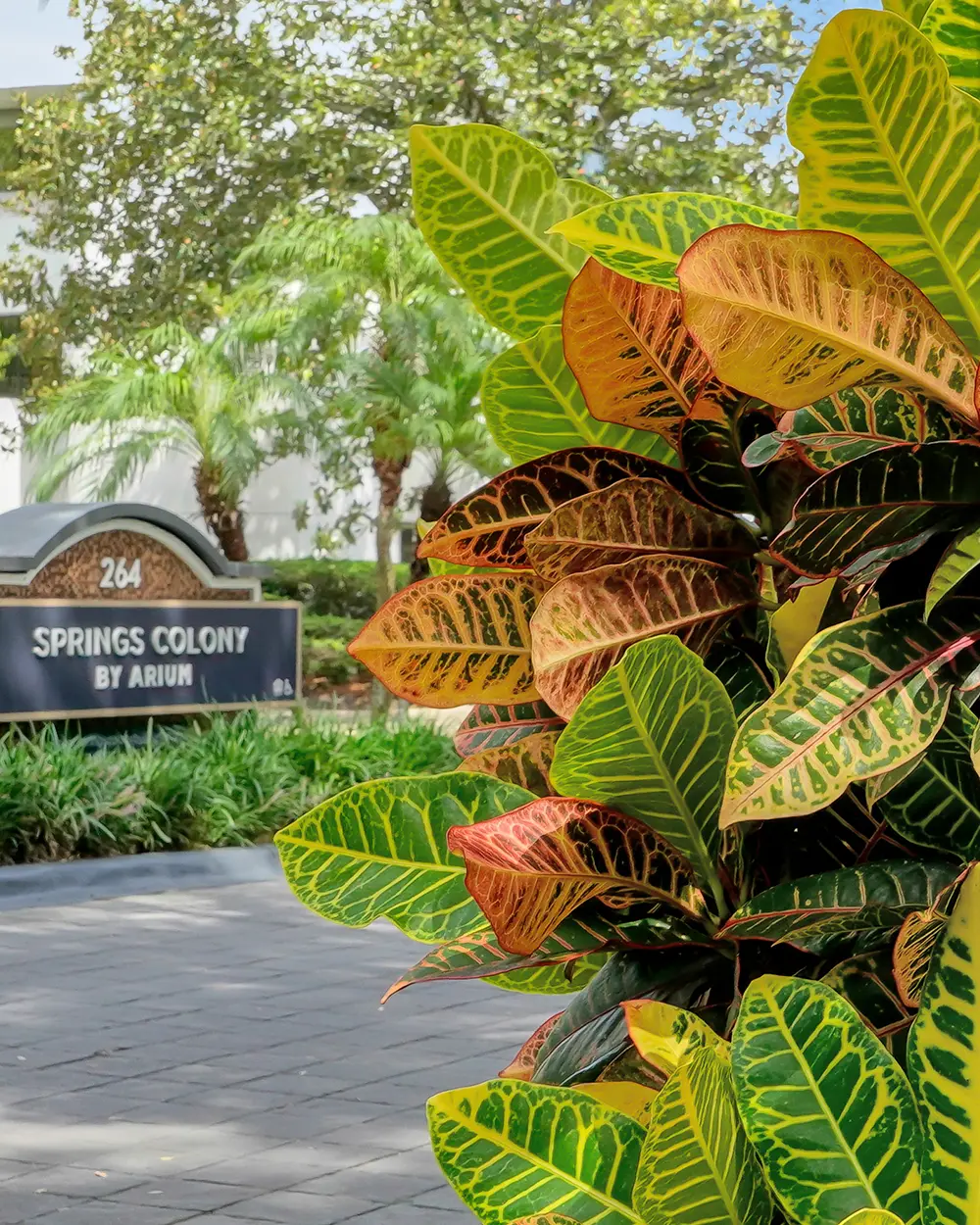 Wooden AirBnB Entry Door - Professional Property Photographer - Orlando